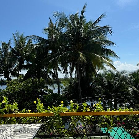 Coral Riverside Homestay & Hostel 会安 外观 照片