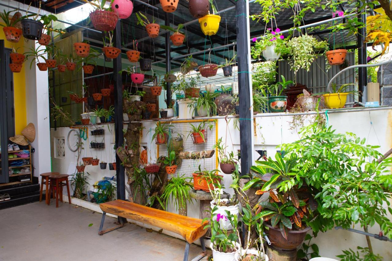 Coral Riverside Homestay & Hostel 会安 外观 照片