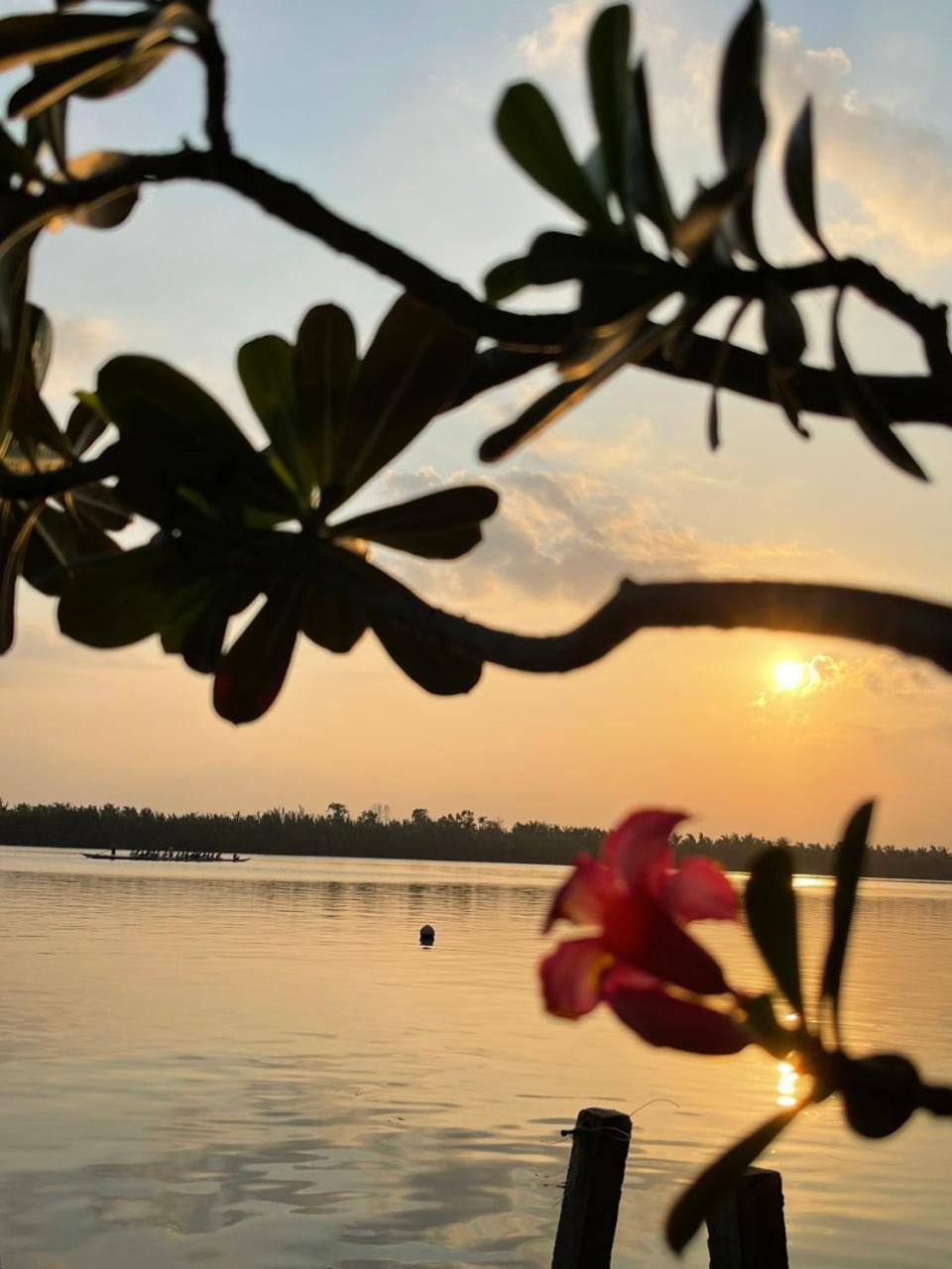 Coral Riverside Homestay & Hostel 会安 外观 照片