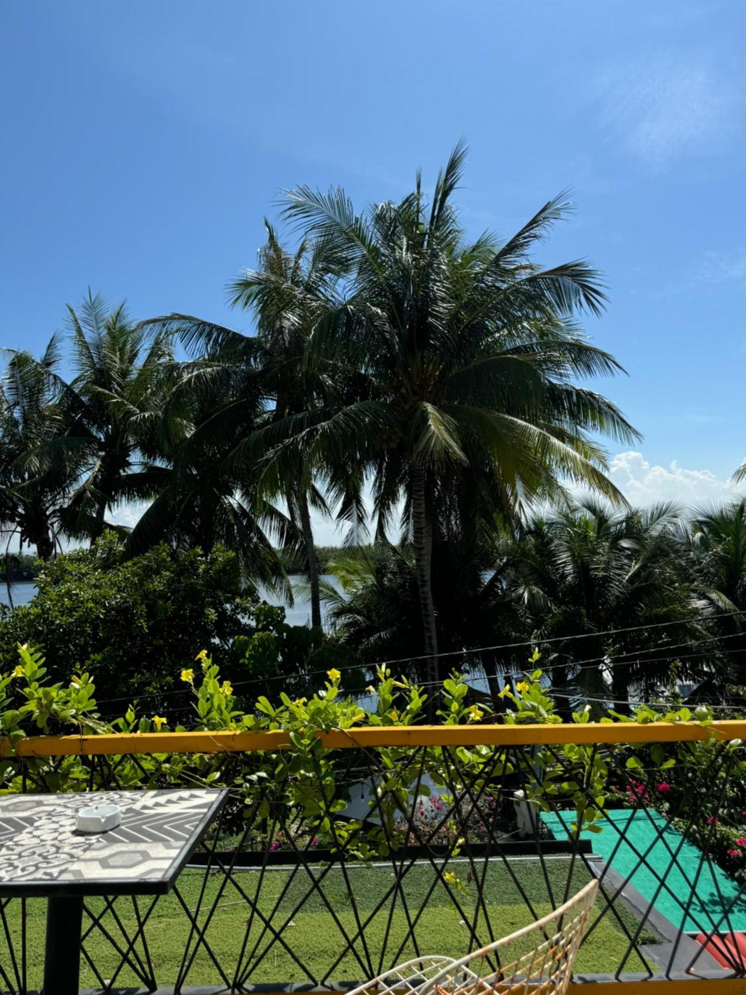Coral Riverside Homestay & Hostel 会安 外观 照片